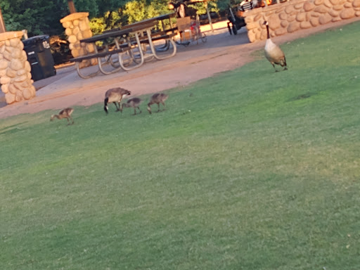 National Reserve «Riparian Preserve at Water Ranch», reviews and photos, 2757 E Guadalupe Rd, Gilbert, AZ 85234, USA