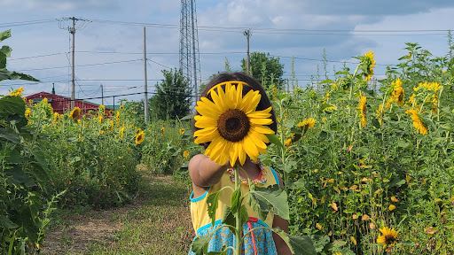 Thompson Farms