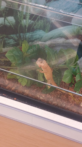 Pet Supply Store «Petco Animal Supplies», reviews and photos, 6020 Ball Rd, Buena Park, CA 90620, USA