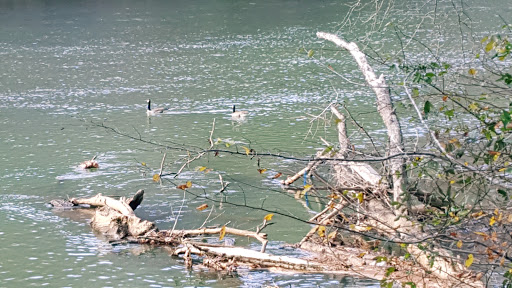 National Park «Chattahoochee River National Recreation Area, Island Ford Unit», reviews and photos, 1978 Island Ford Pkwy, Sandy Springs, GA 30350, USA