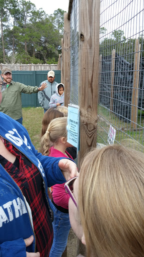Zoo «Florida International Teaching Zoo», reviews and photos, 7725 FL-48, Bushnell, FL 33513, USA