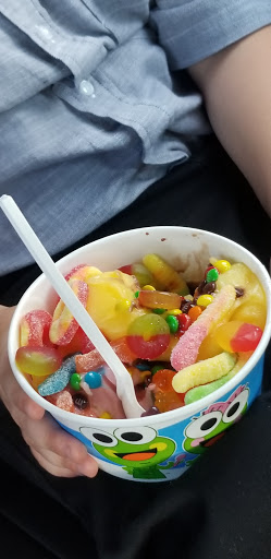 Frozen Yogurt Shop «Sweet Frog Stonebridge», reviews and photos, 125 Stonebridge Plaza Avenue, Richmond, VA 23225, USA