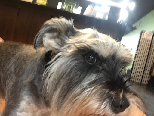 Explore drug dealer tattoo ideas, creative tattoo ideas in Ferndale, available at 9 Lives Tattoo