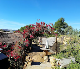 BAJA WINE & SUN TOURS photo