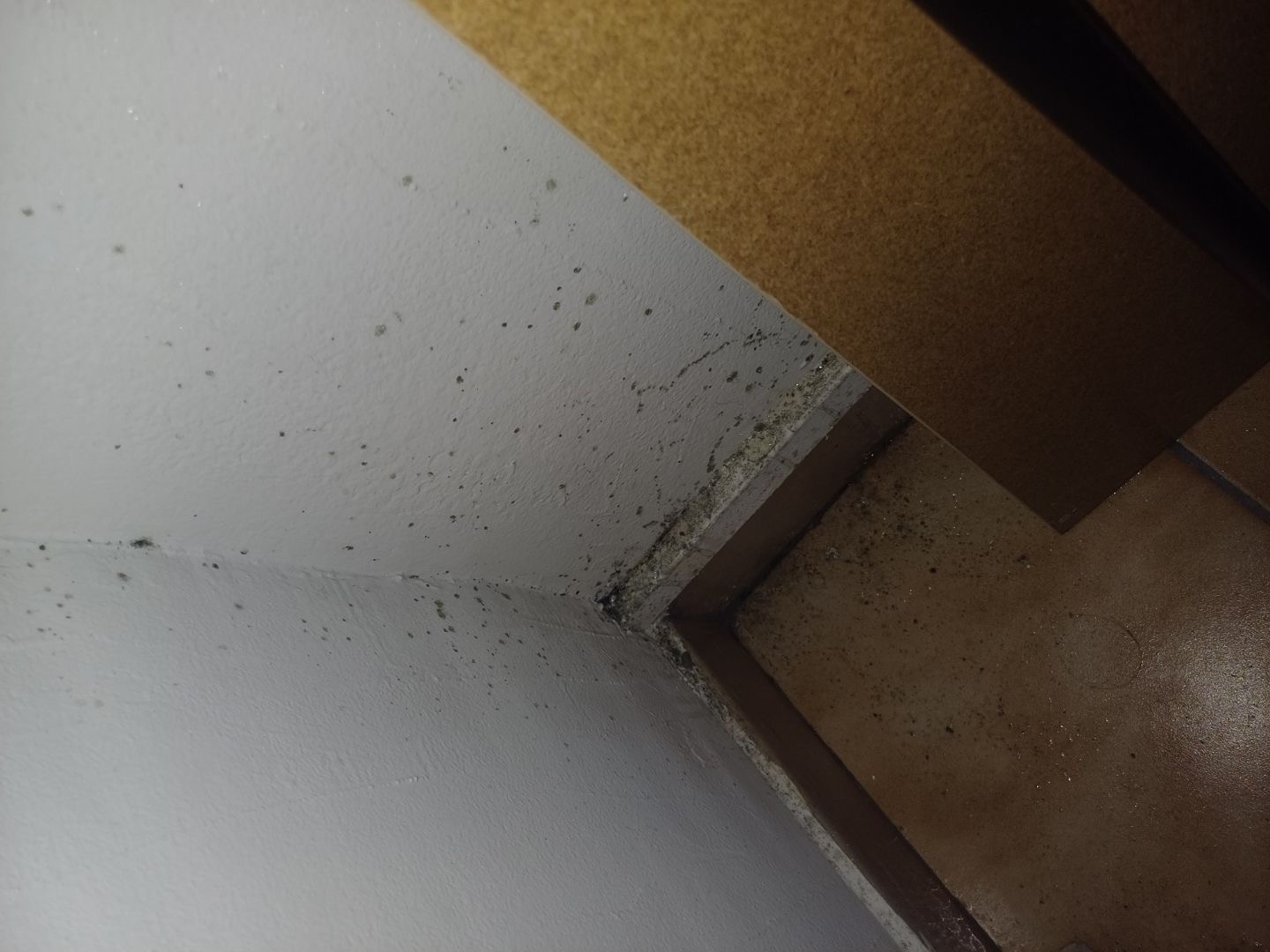 Photo n° 1 de l'avis de Océane.o fait le 07/02/2024 à 14:31