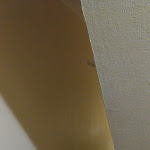 Photo n°5 de l'avis de Roland.c fait le 02/12/2022 à 14:51 sur le  Dorf Münsterland à Legden