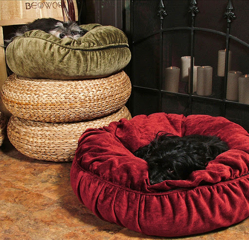 Pet Supply Store «Beowoof Provisions For Pets», reviews and photos, 106 5th St, Hoboken, NJ 07030, USA