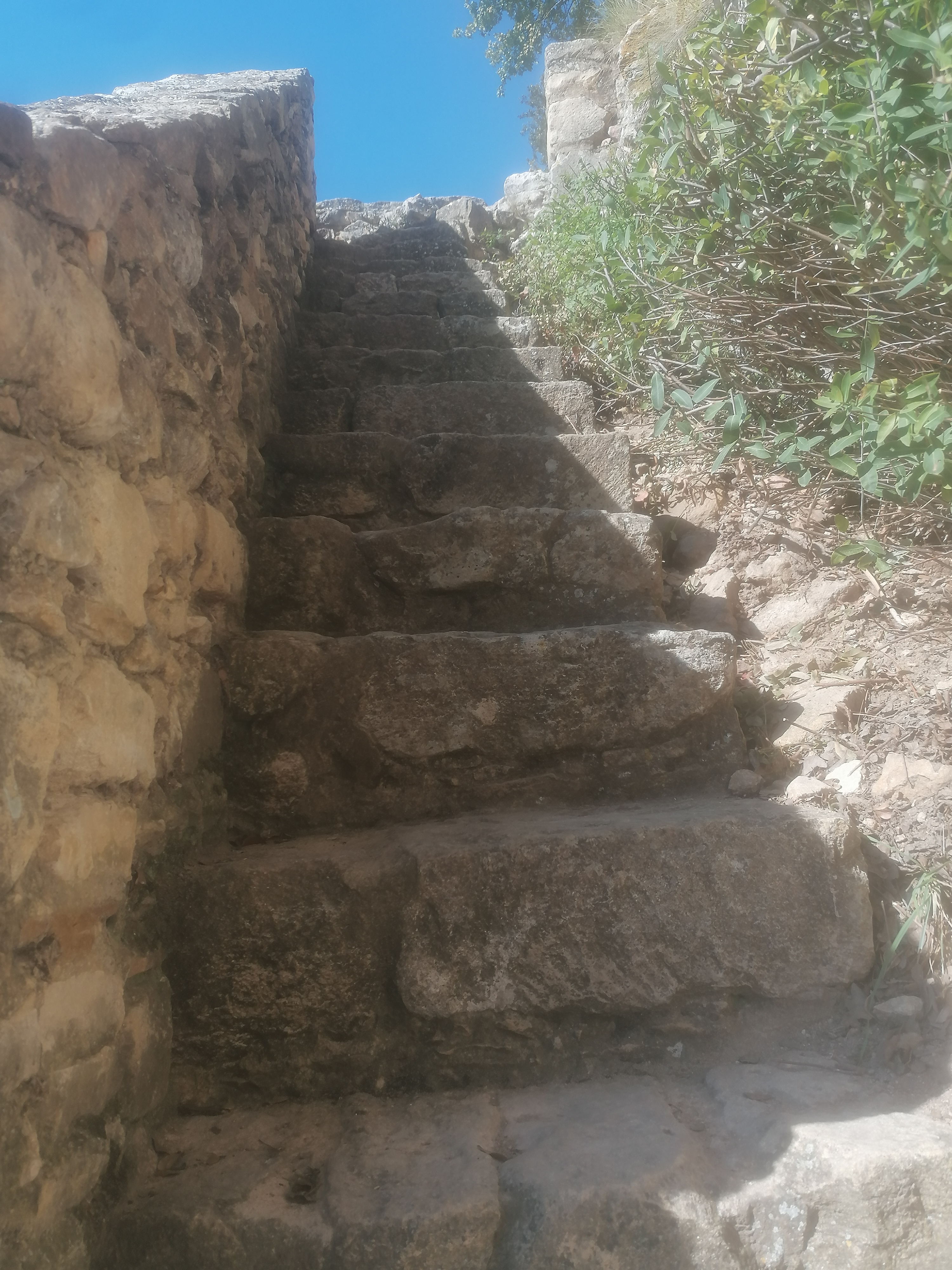 Photo n° 17 de l'avis de marmotte.n fait le 17/10/2021 à 13:10
