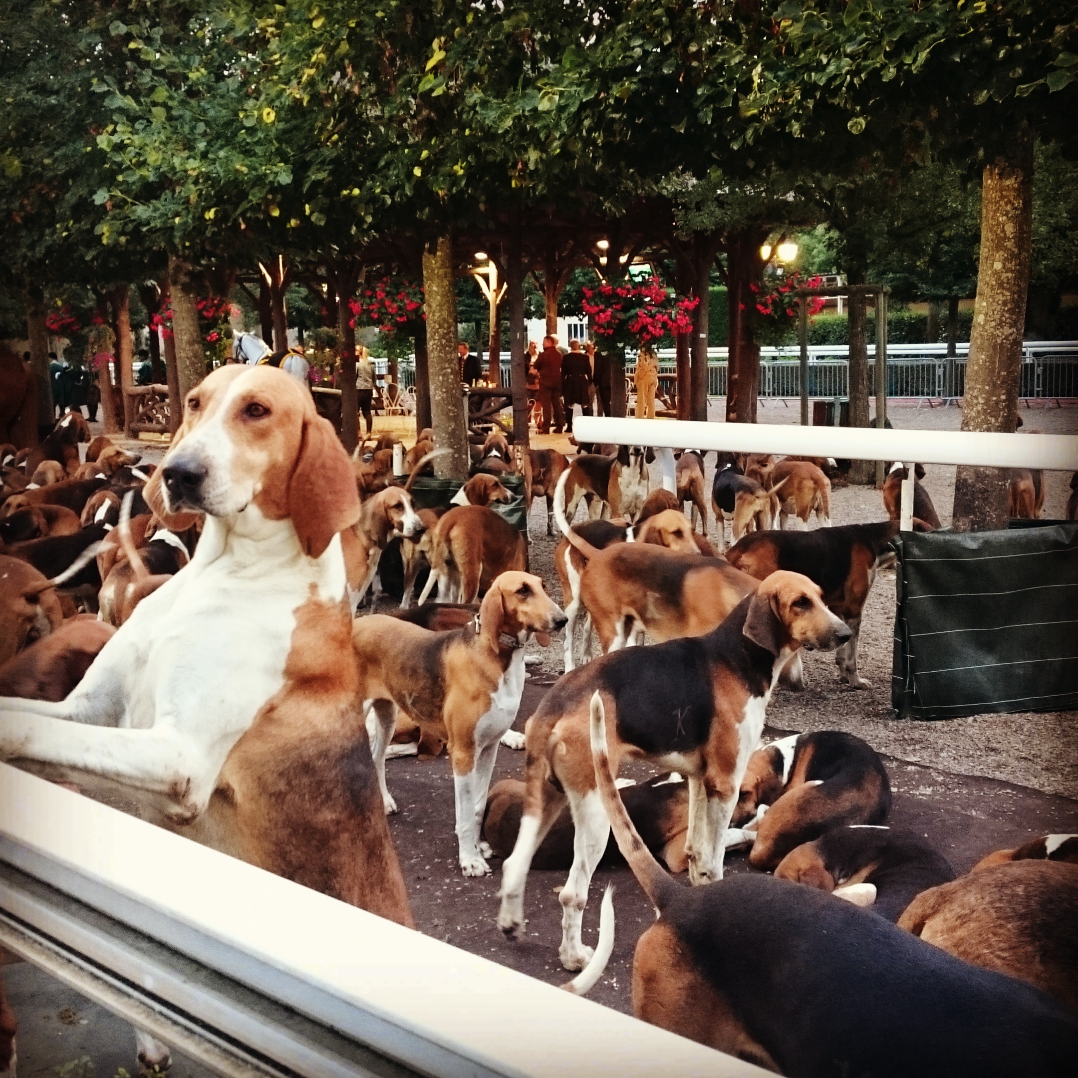 Photo n° 4 de l'avis de Sir.e fait le 29/07/2019 à 15:45
