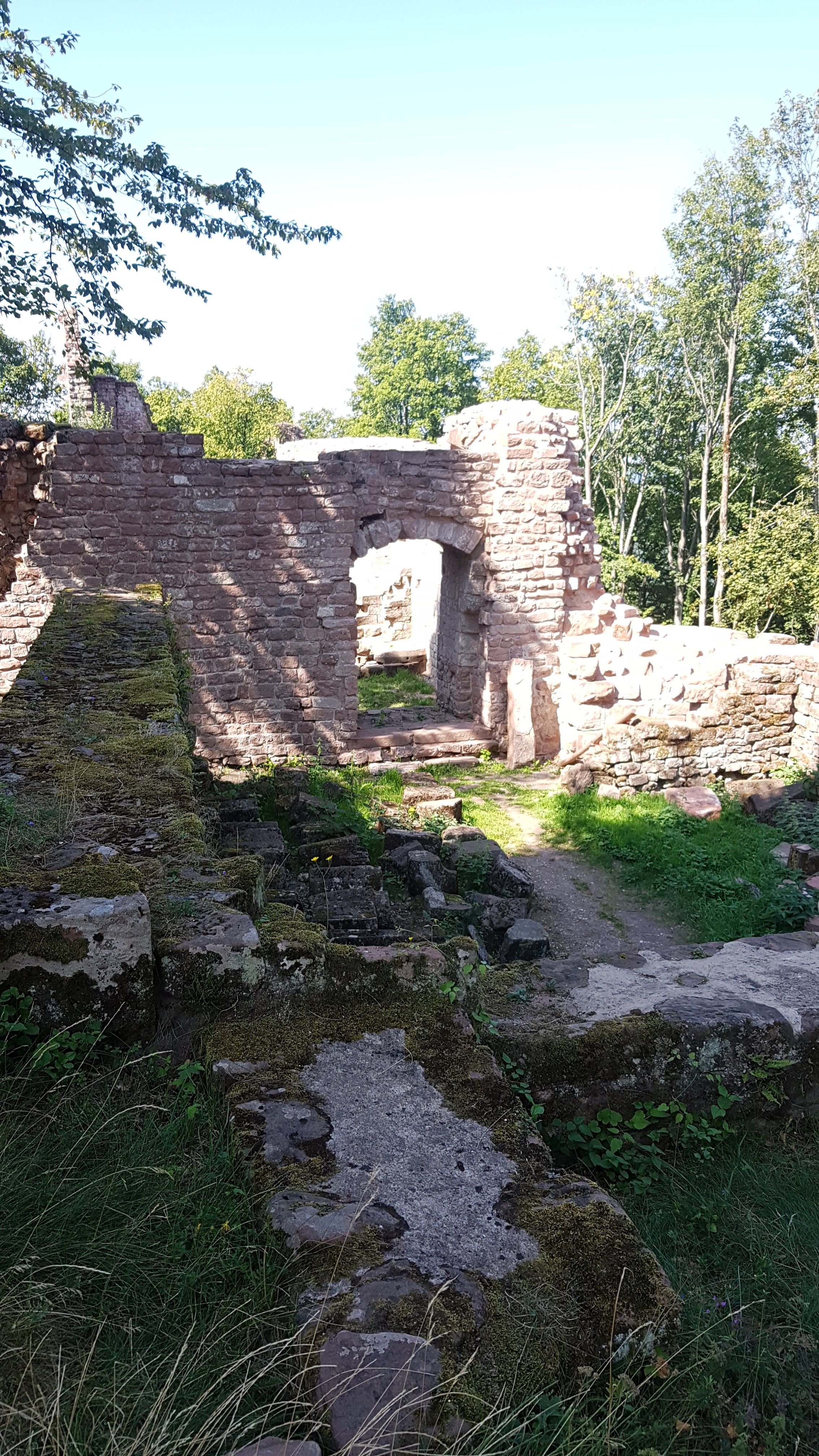 Photo n° 1 de l'avis de C..� fait le 31/08/2019 à 16:48