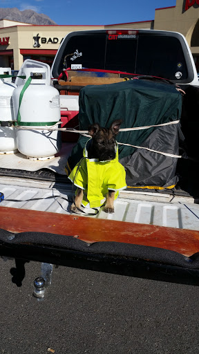 Pet Supply Store «Petco Animal Supplies», reviews and photos, 85 State St, Orem, UT 84058, USA