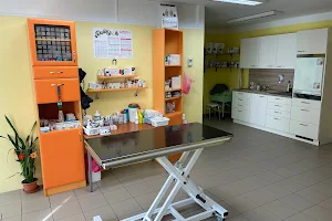 Veterinární klinika Vltava s.r.o. image
