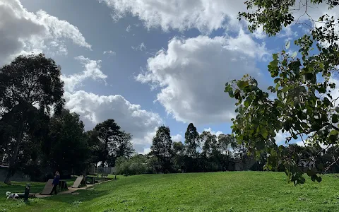 Aranga Reserve Fenced Dog Park image