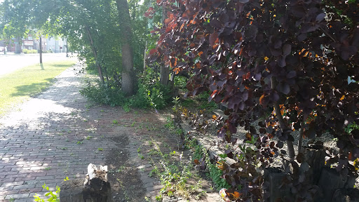 Health Food Store «Tochi Products And Specialty Foods», reviews and photos, 1111 2nd Ave N, Fargo, ND 58102, USA