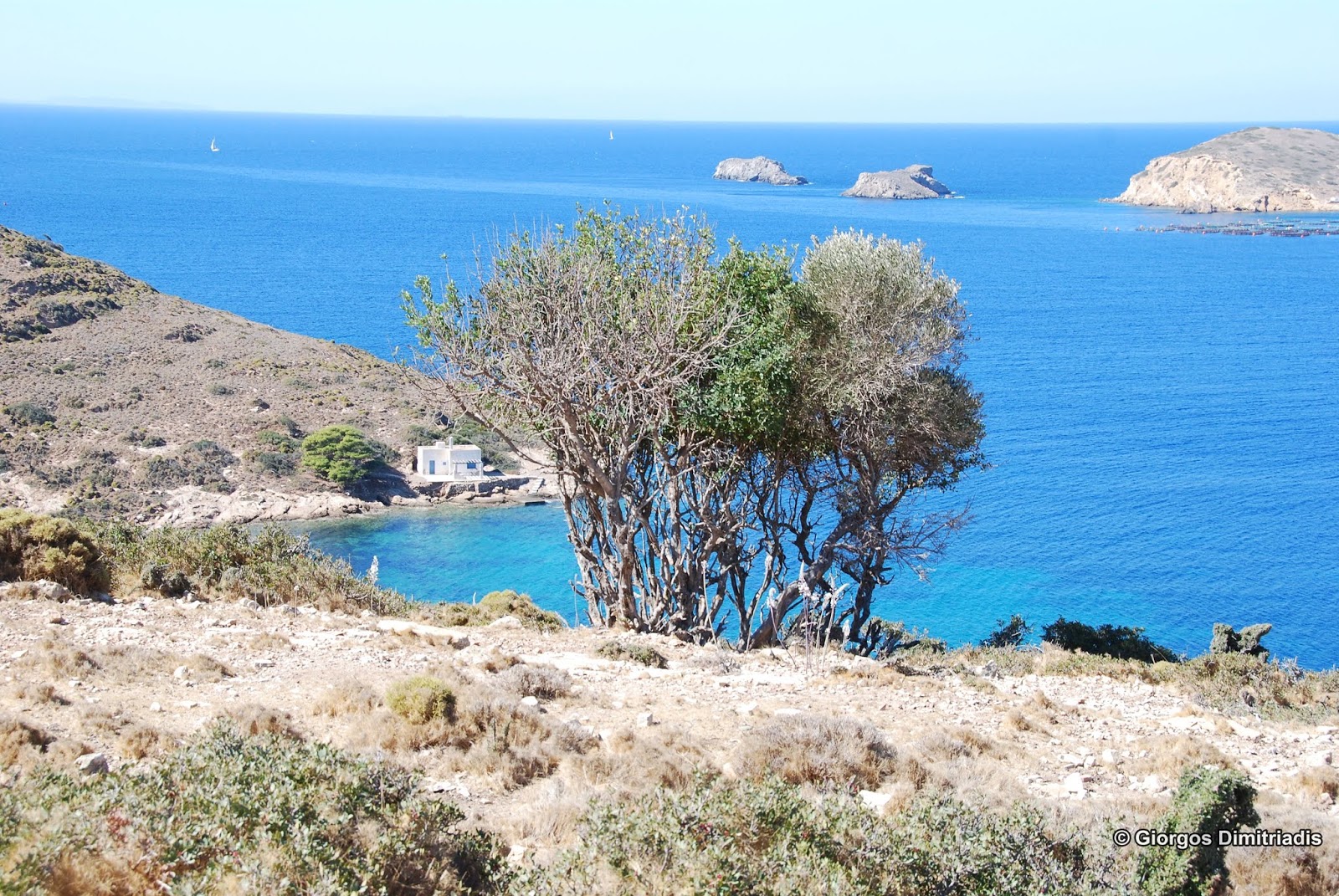 Foto van Leros wild beach II met turquoise puur water oppervlakte
