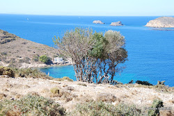 Leros wild beach II'in fotoğrafı küçük koy ile birlikte