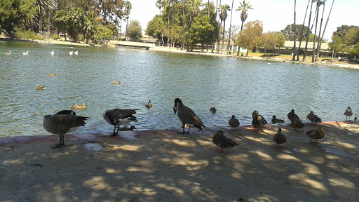 Bicycle Store «Performance Bicycle», reviews and photos, 3550 Redondo Beach Blvd, Torrance, CA 90504, USA