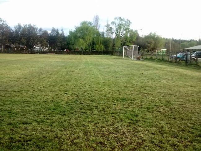 Opiniones de Cancha nacional de cato en Chillán - Gimnasio