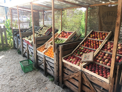 Fruits et légumes à Léognan