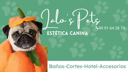 Lalo's Pets CAUCEL. Estética Canina y Hospedaje para mascotas