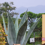 Photo n°1 de l'avis de Cornelia. fait le 22/09/2022 à 06:20 sur le  Hotel Margherita Meuble à Sirmione