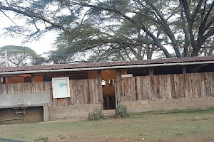 Acacia Campsite Sanctuary Farm image