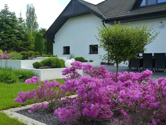 Magnolia. Projektowanie i wykonywanie ogrodów