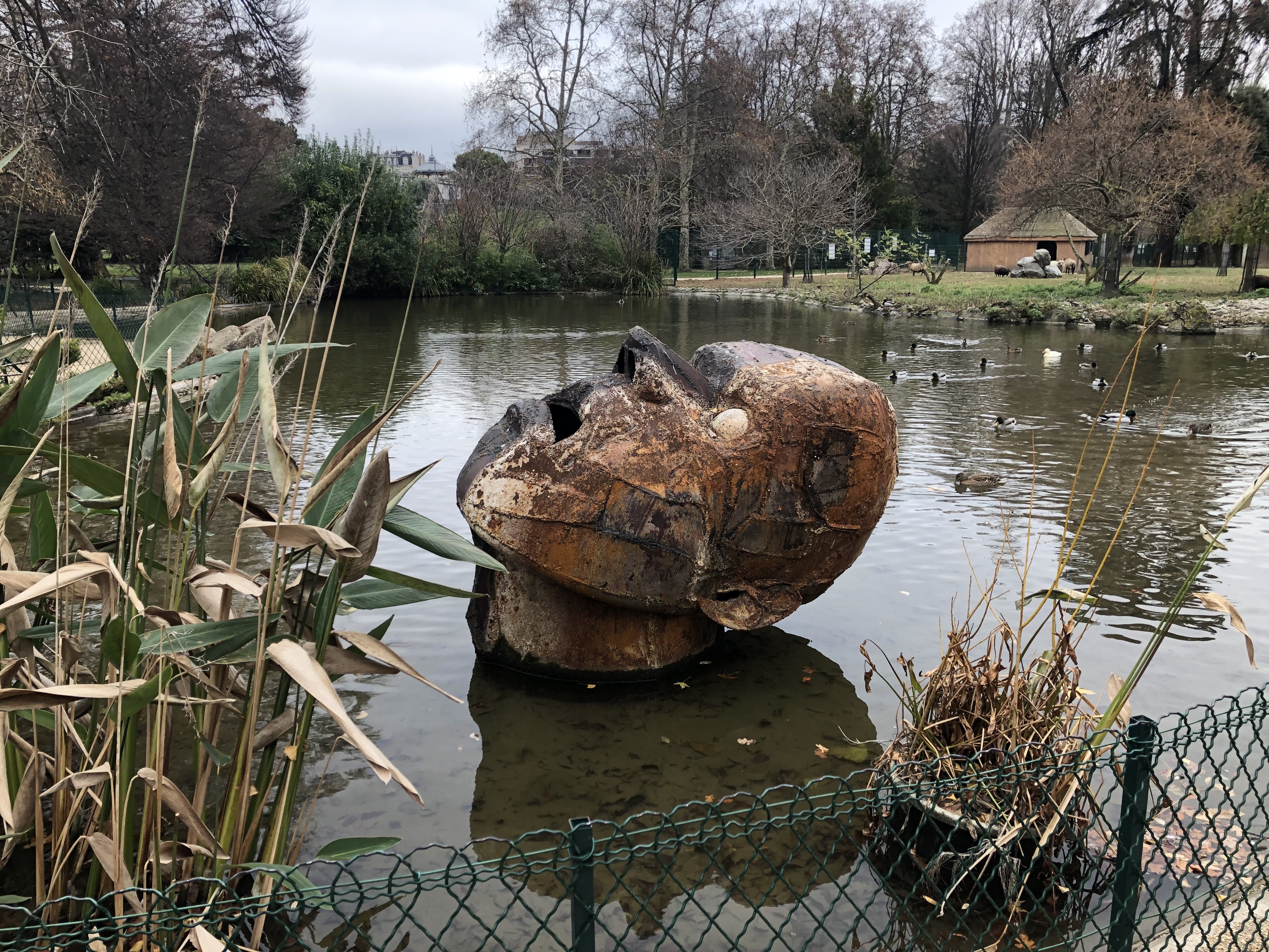 Photo n° 8 de l'avis de MENARD.h fait le 26/12/2021 à 15:05