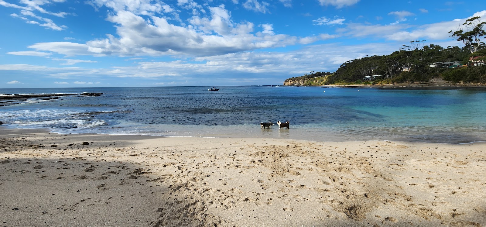 Collers Beach的照片 带有碧绿色纯水表面