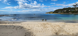 Collers Beach'in fotoğrafı düz bir kıyı şeridi ile birlikte