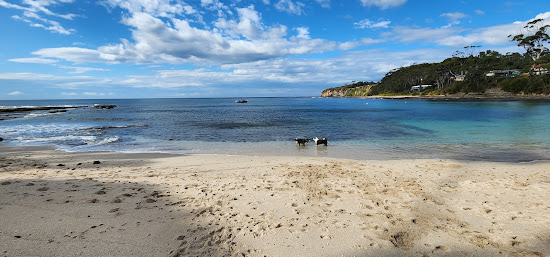 Collers Beach