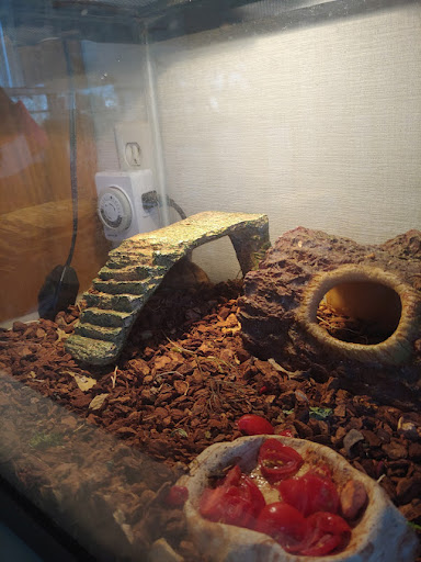 Non-Profit Organization «Nature Discovery Center», reviews and photos, 7112 Newcastle St, Bellaire, TX 77401, USA