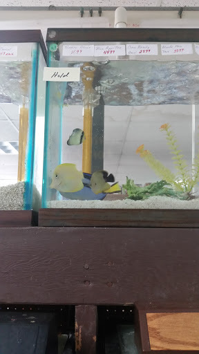 Tropical Fish Store «J B Tropical Fish», reviews and photos, 1950 N Black Horse Pike, Williamstown, NJ 08094, USA