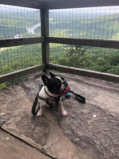 Observation Deck «Chimney Rock», reviews and photos, 431 Main St, Chimney Rock, NC 28720, USA