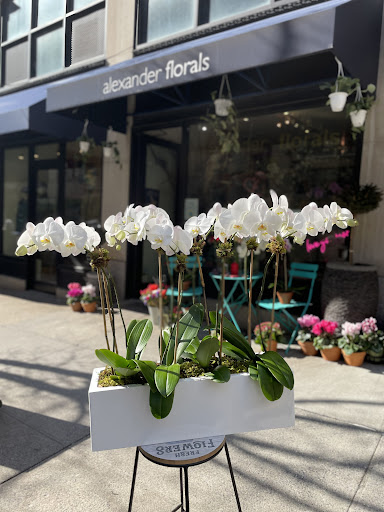 Florist «Alexander Brothers Florist Inc», reviews and photos, 1186 Madison Ave, New York, NY 10028, USA