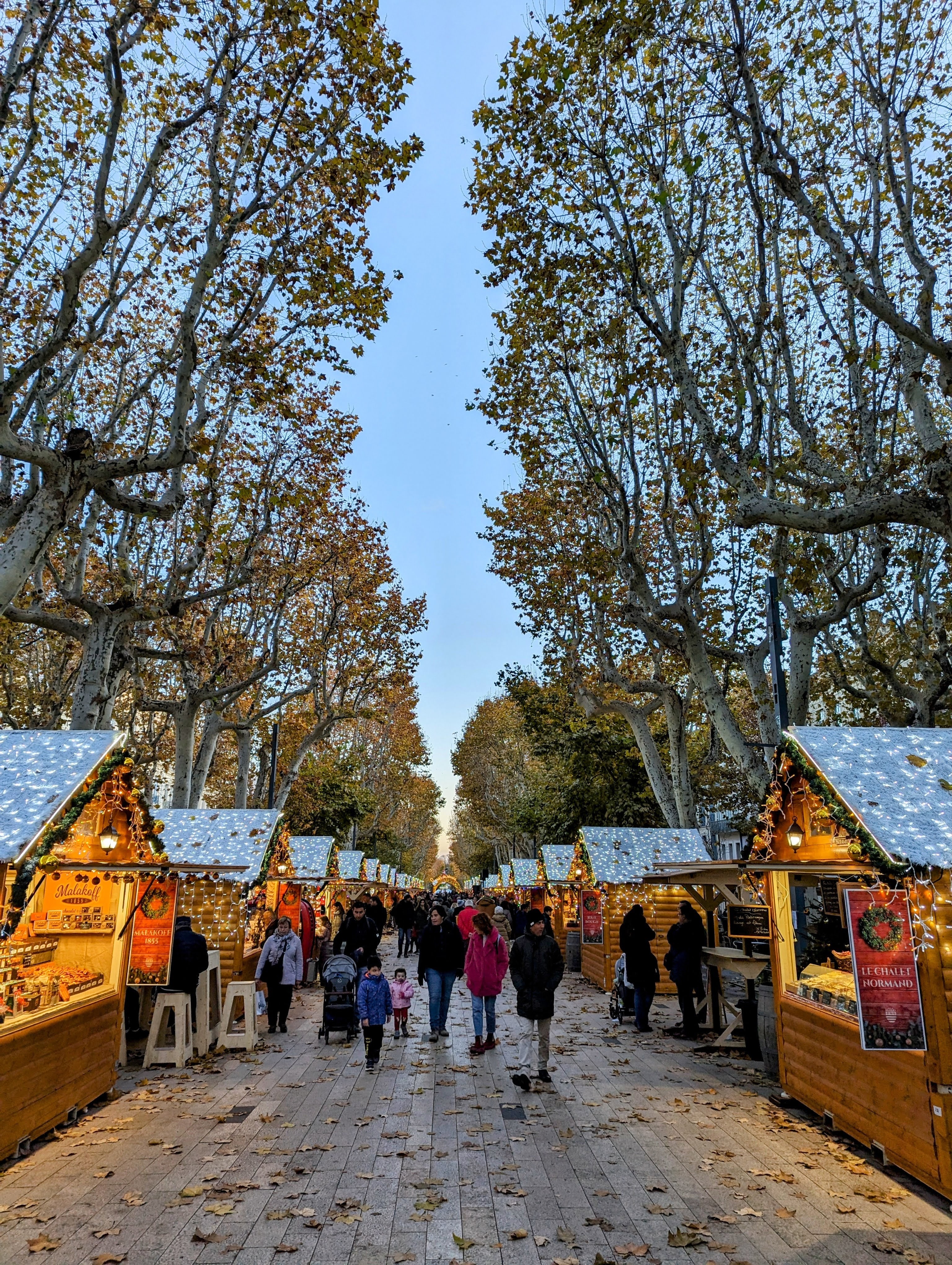 Photo n° 4 de l'avis de Jaume.� fait le 08/12/2023 à 20:50