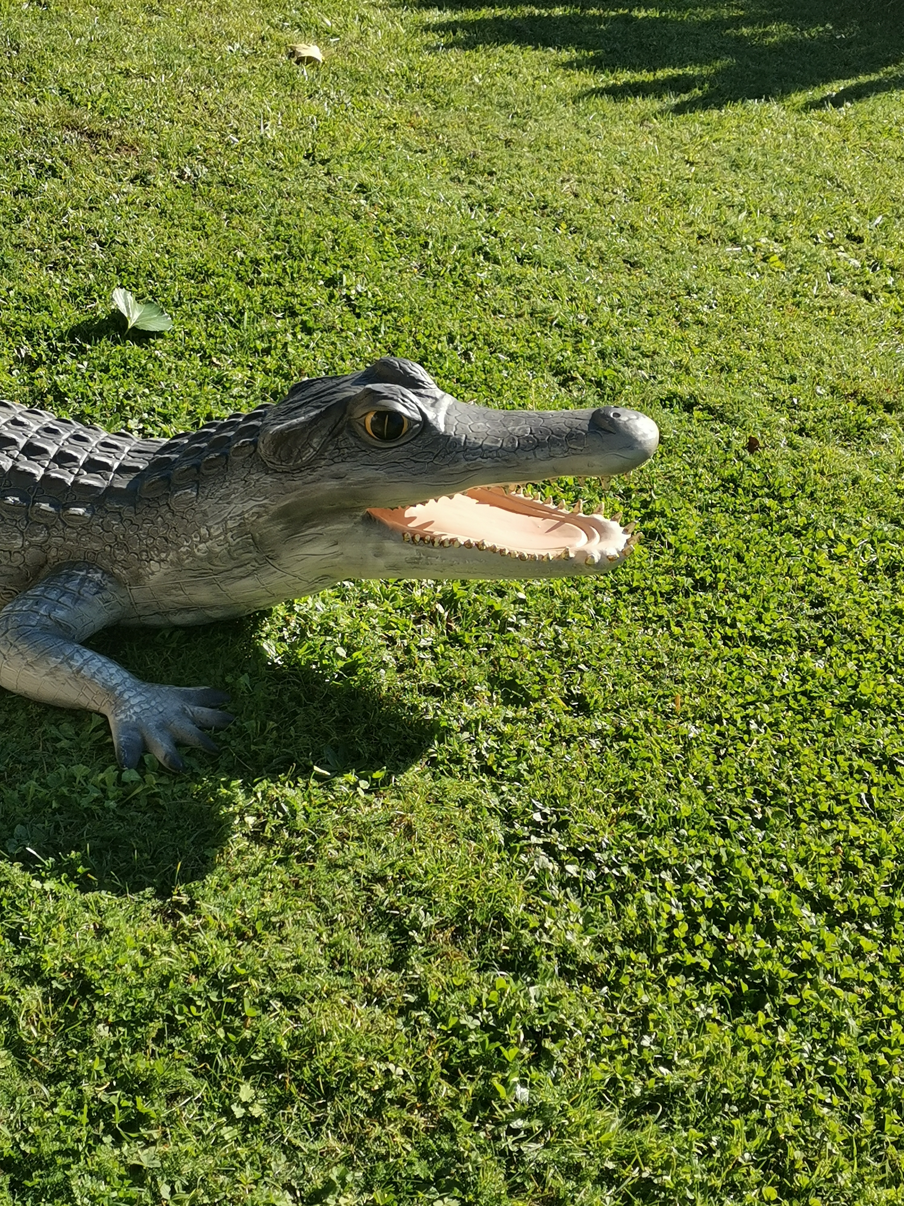 Photo n° 17 de l'avis de Jerome.a fait le 23/10/2021 à 18:04
