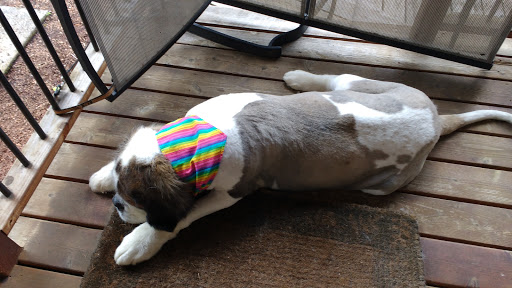 Car Dealer «Gresham Ford», reviews and photos, 1999 E Powell Blvd, Gresham, OR 97080, USA