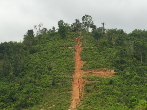 Lâm Trường Quang Trung