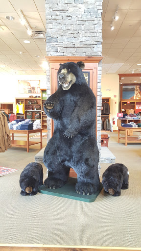 Clothing Store «Orvis», reviews and photos, 3701 Sumner Blvd, Raleigh, NC 27616, USA