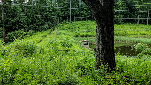 Nature Preserve «Centennial Woods Natural Area», reviews and photos, I-89, Burlington, VT 05401, USA