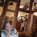 Photo n°1 de l'avis de Uli.u fait le 31/08/2021 à 17:56 sur le  Kartoffelkäfer à Brandenburg