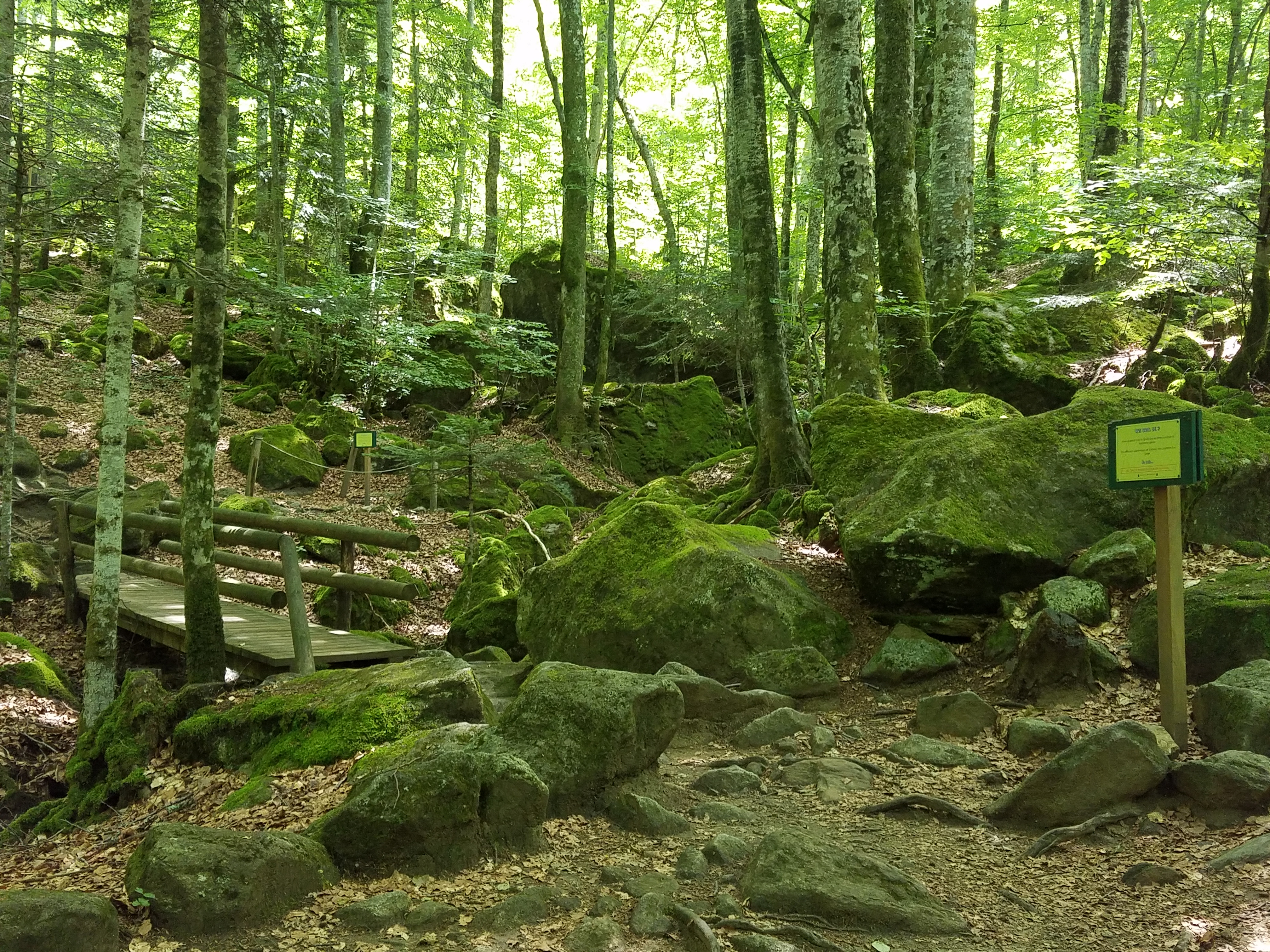 Photo n° 11 de l'avis de Julie.i fait le 03/07/2019 à 14:26