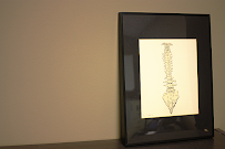 PRINCETON FAMILY CHIROPRACTIC - Photo 1 - Car repair in Princeton, NJ, Trenton