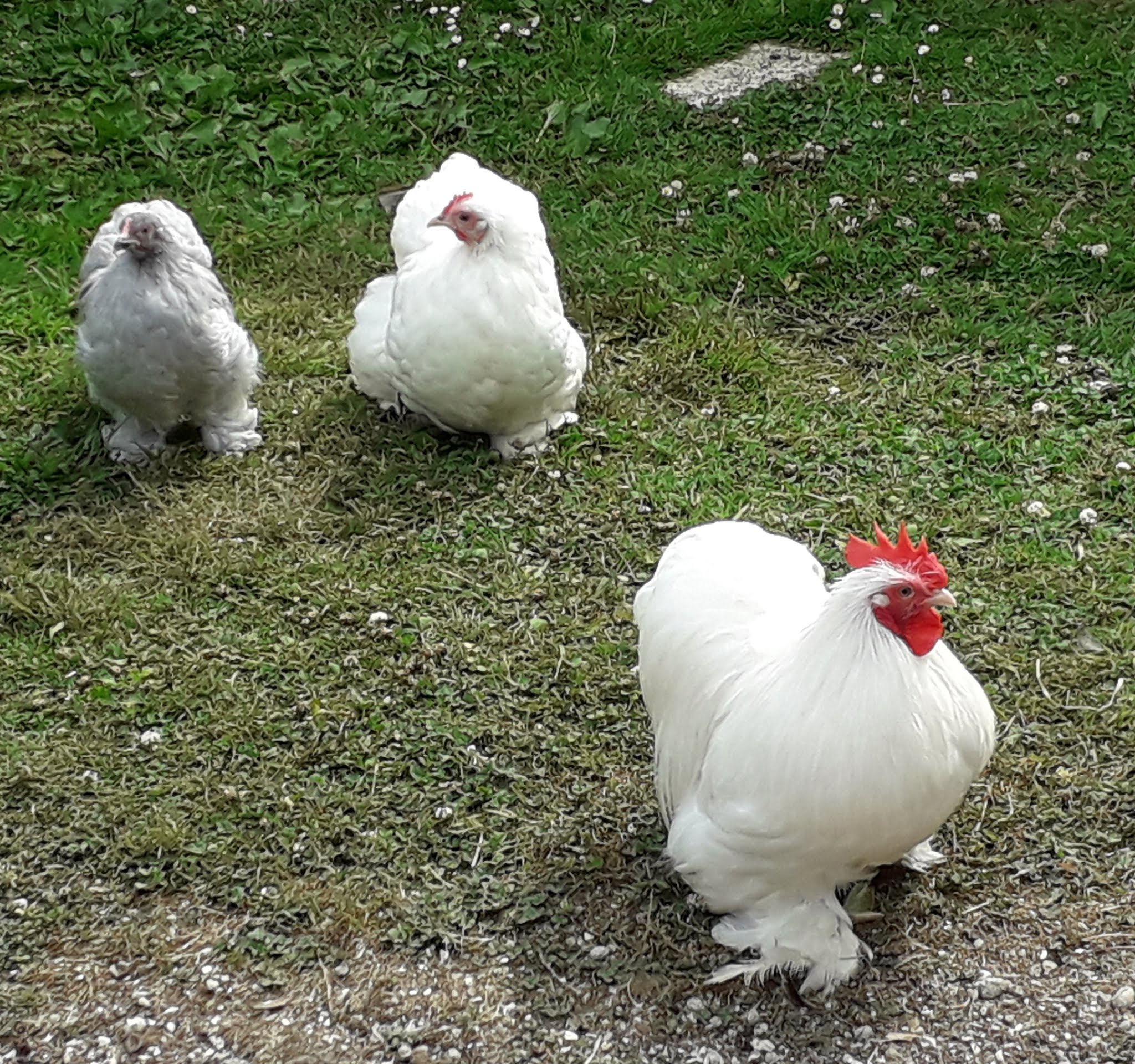 Photo n° 1 de l'avis de Muriel.a fait le 27/07/2019 à 14:46