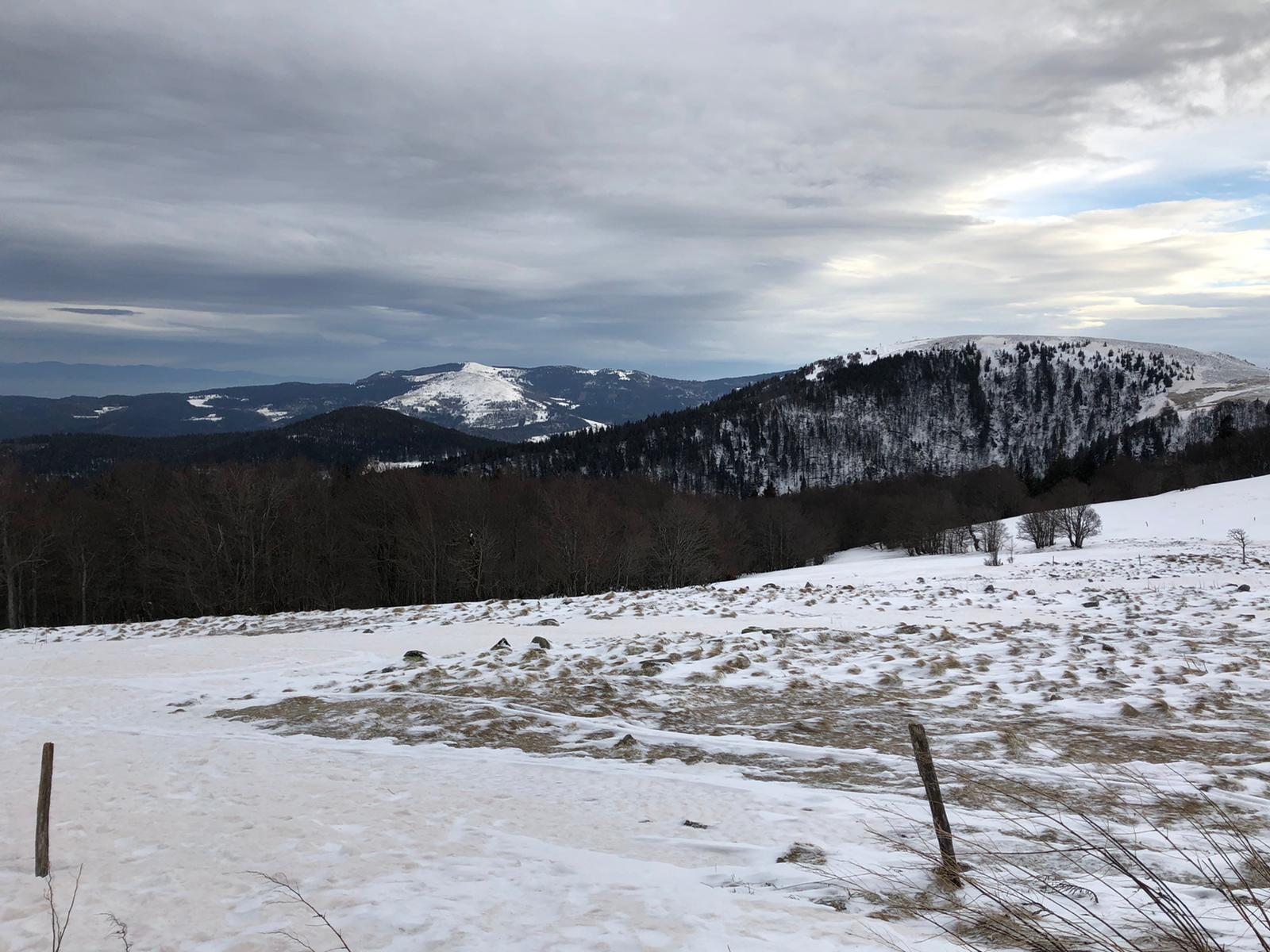 Photo n° 3 de l'avis de Aleida.r fait le 27/02/2021 à 15:43
