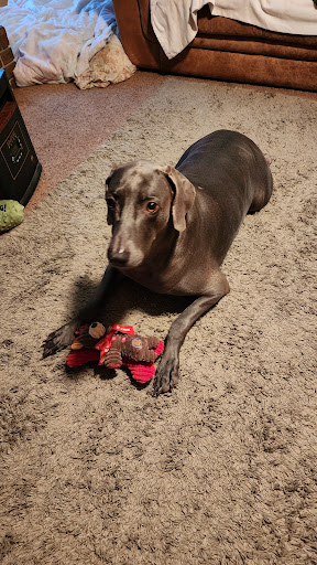 Vetco Total Care Animal Hospital image