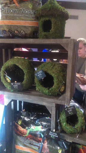 Reptile Store «Cleveland Reptile Show», reviews and photos, 17250 Hummel Rd, Brook Park, OH 44142, USA