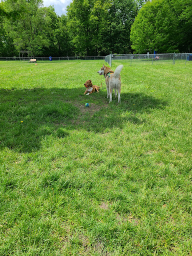 Clinton Township Dog Park