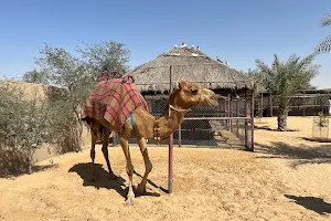 The Camel Farm image